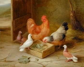unknow artist Cocks 107 oil painting picture